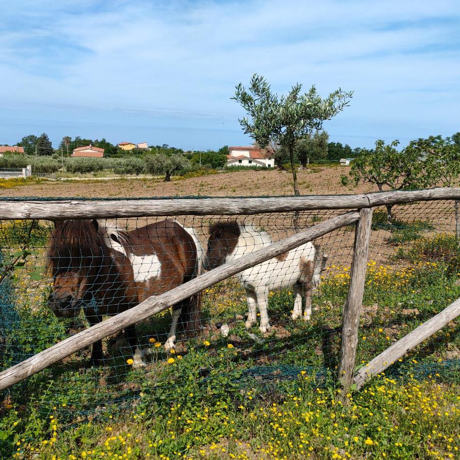 Agriturismo Agri Armonia 산 루시도 외부 사진
