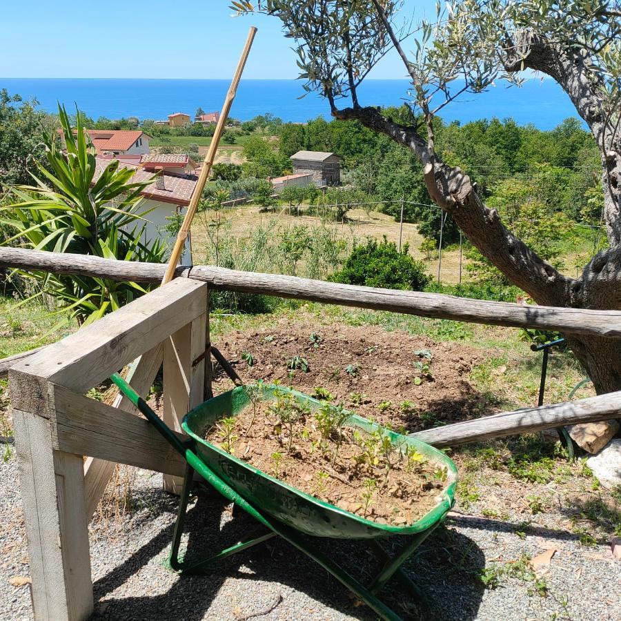 Agriturismo Agri Armonia 산 루시도 외부 사진
