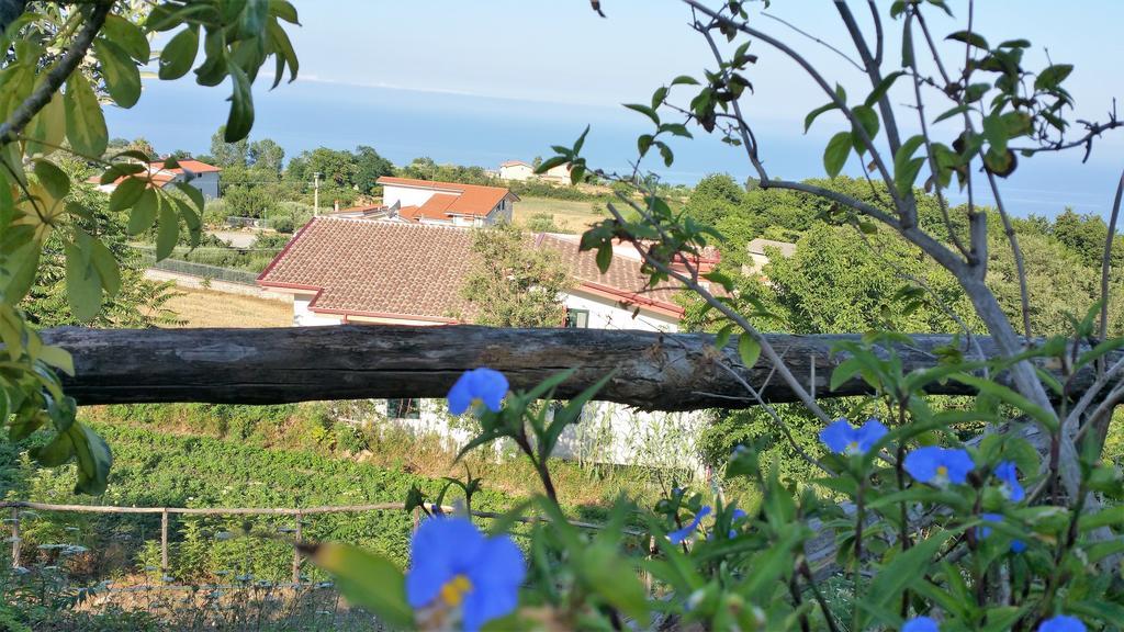 Agriturismo Agri Armonia 산 루시도 외부 사진