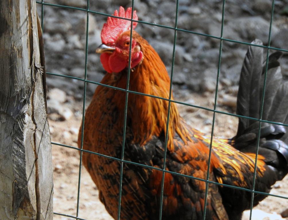 Agriturismo Agri Armonia 산 루시도 외부 사진