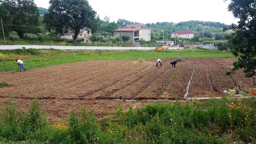 Agriturismo Agri Armonia 산 루시도 외부 사진